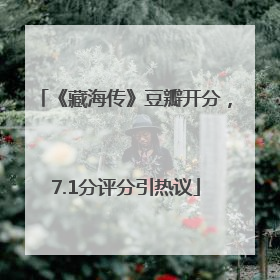 《藏海传》豆瓣开分，7.1分评分引热议