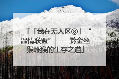 「我在无人区⑧」“温情联盟”——黔金丝猴雌猴的生存之道