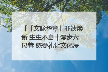 「文脉华章」非遗焕新 生生不息｜漫步六尺巷 感受礼让文化浸润的“巷”往生活