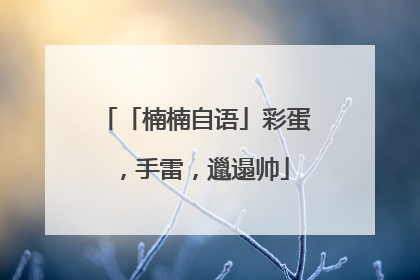 「楠楠自语」彩蛋，手雷，邋遢帅
