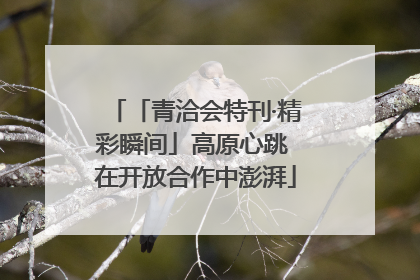 「青洽会特刊·精彩瞬间」高原心跳 在开放合作中澎湃