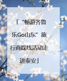 “畅游齐鲁 乐Go山东”旅行商踩线活动走进泰安