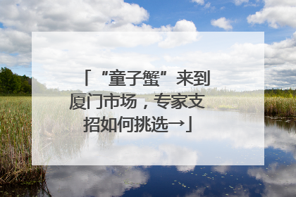 “童子蟹”来到厦门市场，专家支招如何挑选→