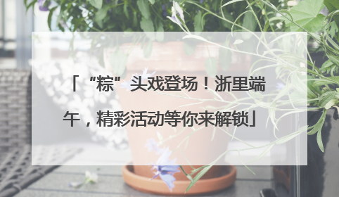 “粽”头戏登场！浙里端午，精彩活动等你来解锁