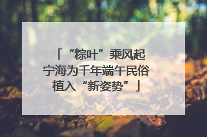 “粽叶”乘风起 宁海为千年端午民俗植入“新姿势”