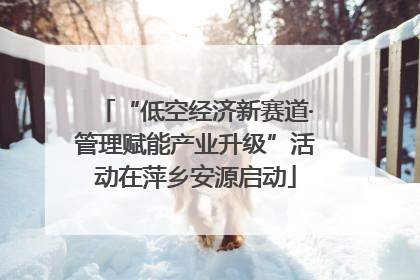 “低空经济新赛道·管理赋能产业升级”活动在萍乡安源启动