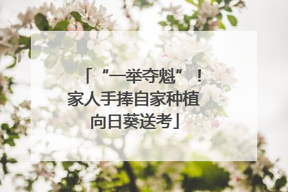 “一举夺魁”！家人手捧自家种植向日葵送考