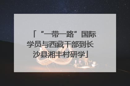 “一带一路”国际学员与西藏干部到长沙县湘丰村研学