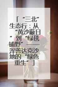 “三北”生态行：从“黄沙蔽日”到“绿毯铺野”——浑善达克沙地的“绿色重生”