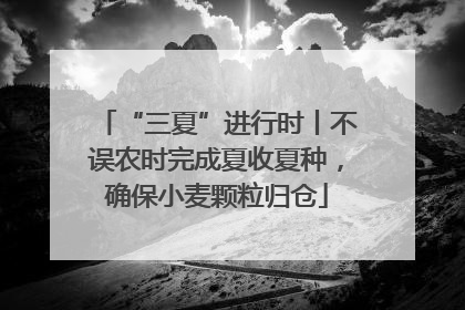 “三夏”进行时丨不误农时完成夏收夏种，确保小麦颗粒归仓
