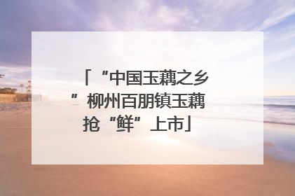 “中国玉藕之乡”柳州百朋镇玉藕抢“鲜”上市