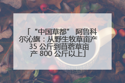 “中国草都” 阿鲁科尔沁旗：从野生牧草亩产 35 公斤到苜蓿草亩产 800 公斤以上