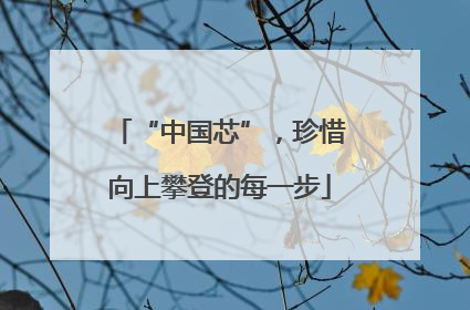“中国芯”，珍惜向上攀登的每一步