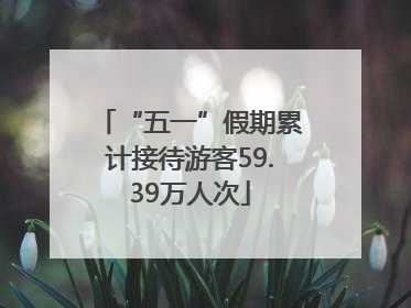 “五一”假期累计接待游客59.39万人次