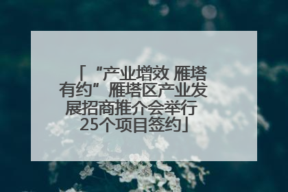 “产业增效 雁塔有约”雁塔区产业发展招商推介会举行 25个项目签约
