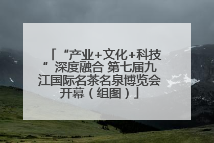 “产业+文化+科技”深度融合 第七届九江国际名茶名泉博览会开幕（组图）