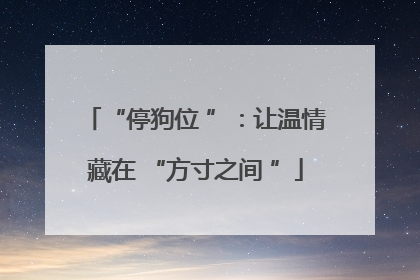 “停狗位 ”：让温情藏在 “方寸之间 ”