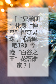 “兄弟团”化身“神鸟”智夺灵珠，《奔跑吧13》今晚“百谷之王”花落谁家？