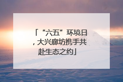 “六五”环境日，大兴廊坊携手共赴生态之约