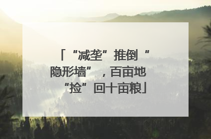 “减垄”推倒“隐形墙”，百亩地“捡”回十亩粮