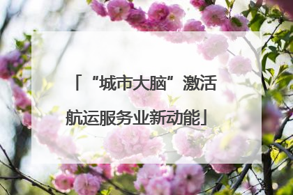 “城市大脑”激活航运服务业新动能