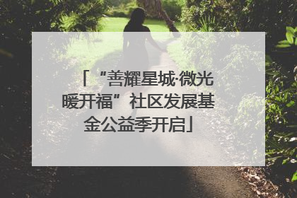 “善耀星城·微光暖开福”社区发展基金公益季开启
