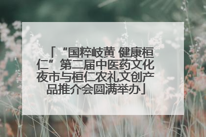 “国粹岐黄 健康桓仁”第二届中医药文化夜市与桓仁农礼文创产品推介会圆满举办