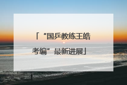 “国乒教练王皓考编”最新进展