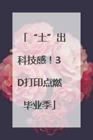 “土”出科技感！3D打印点燃毕业季
