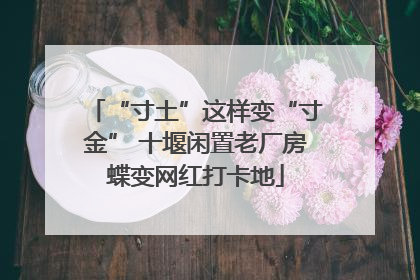 “寸土”这样变“寸金” 十堰闲置老厂房蝶变网红打卡地