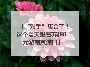 “对手”集合了！这个夏天跟着苏超0元游南京浦口
