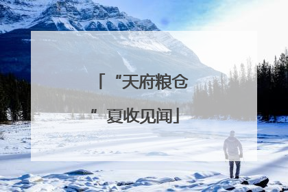 “天府粮仓”夏收见闻