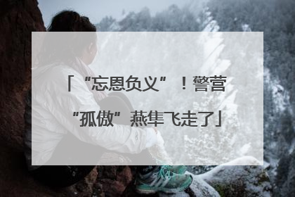 “忘恩负义”！警营“孤傲”燕隼飞走了