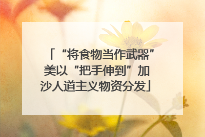 “将食物当作武器” 美以“把手伸到”加沙人道主义物资分发