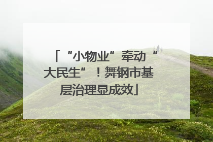 “小物业”牵动“大民生”！舞钢市基层治理显成效