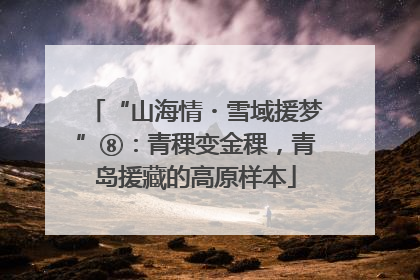 “山海情・雪域援梦”⑧：青稞变金稞，青岛援藏的高原样本