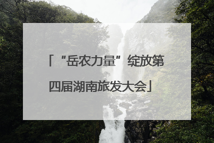 “岳农力量”绽放第四届湖南旅发大会