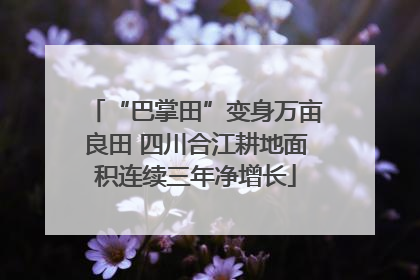 “巴掌田”变身万亩良田 四川合江耕地面积连续三年净增长