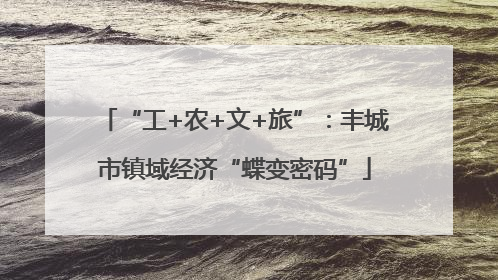 “工+农+文+旅”：丰城市镇域经济“蝶变密码”