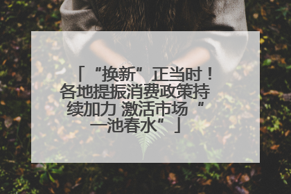 “换新”正当时!各地提振消费政策持续加力 激活市场“一池春水”