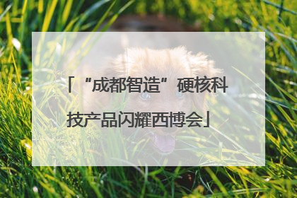 “成都智造”硬核科技产品闪耀西博会