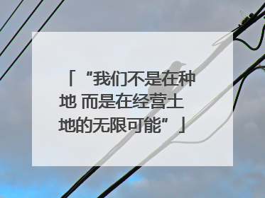 “我们不是在种地 而是在经营土地的无限可能”
