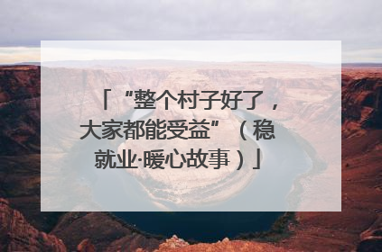 “整个村子好了，大家都能受益”（稳就业·暖心故事）