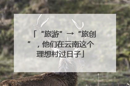 “旅游”→“旅创”，他们在云南这个理想村过日子