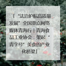 “法治护航高质量发展”全国重点网络媒体青海行｜青海食品工业协会：架起“青字号”美食的产业化桥梁