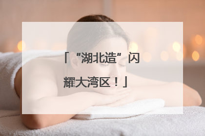 “湖北造”闪耀大湾区！
