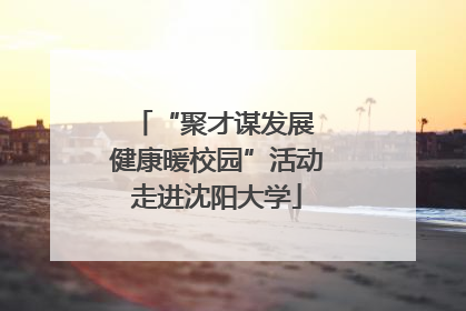 “聚才谋发展 健康暖校园”活动走进沈阳大学