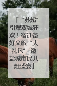 “苏超”引爆双城狂欢！宿迁备好文旅“大礼包” 邀盐城市民共赴盛宴