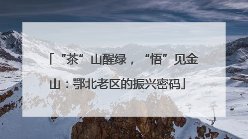 “茶”山醒绿，“悟”见金山：鄂北老区的振兴密码