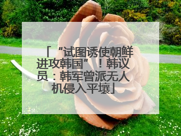 “试图诱使朝鲜进攻韩国”！韩议员：韩军曾派无人机侵入平壤